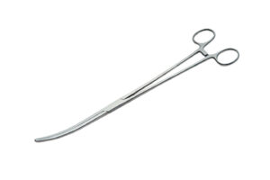 Curved Stainless Steel 12 inch Surgical Hemostat (Pack Of 2)