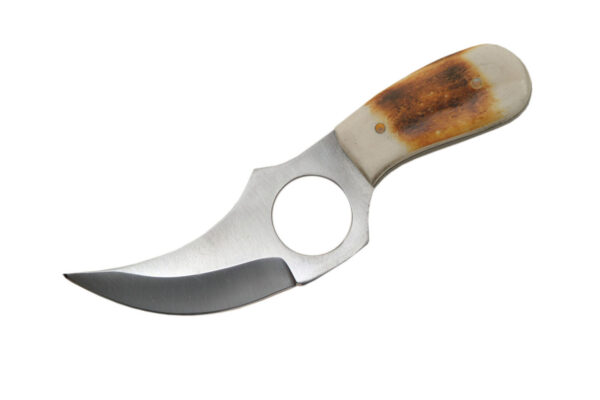 Short Stainless Steel Blade | Bone Handle 6 inch Edc Skinner Knife