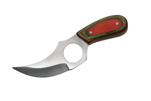 Multicolor Stainless Steel Blade | Wooden Handle 6 inch Edc Skinner Knife
