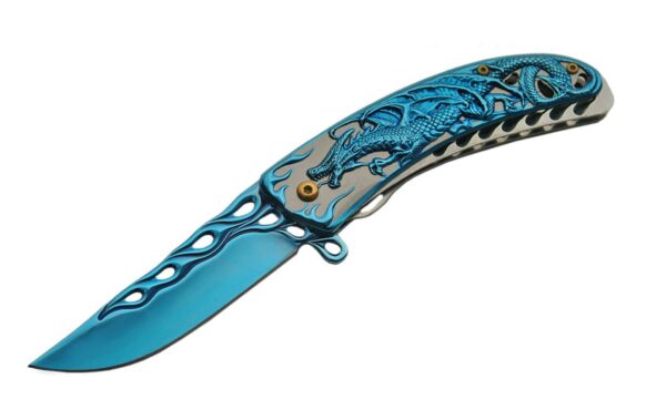 Blue Dragon Stainless Steel Blade | Titanium Finish 8 inch Edc Folding Knife