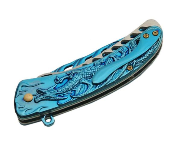 Blue Dragon Stainless Steel Blade | Titanium Finish 8 inch Edc Folding Knife