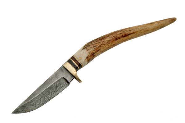 8″ Damascus Stag Spike Hunting Knife