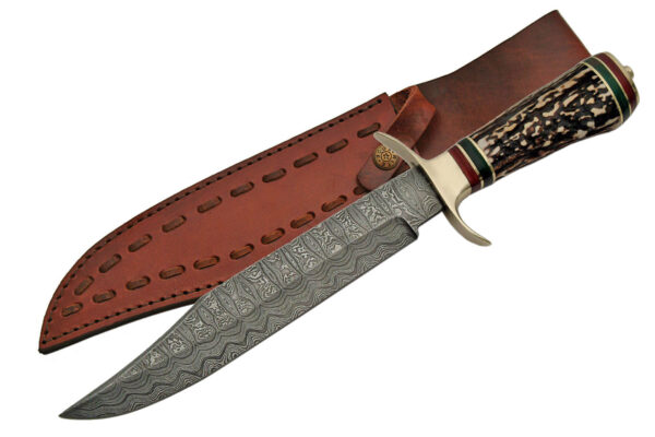 13 1/2" RED STAG BOWIE