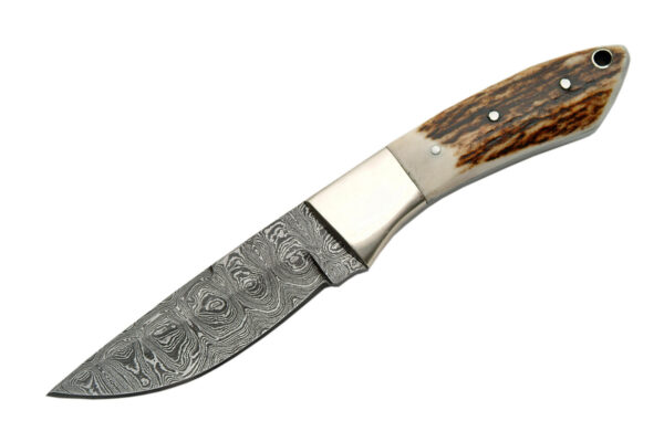8" STAG CLIP POINT HUNTER