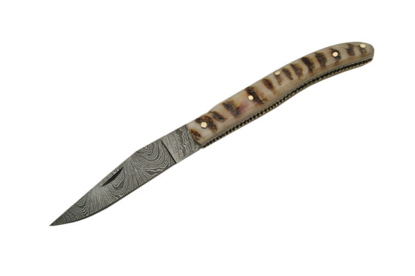 Damascus Steel Ram Horn Handle 8.25″ Folding Knife