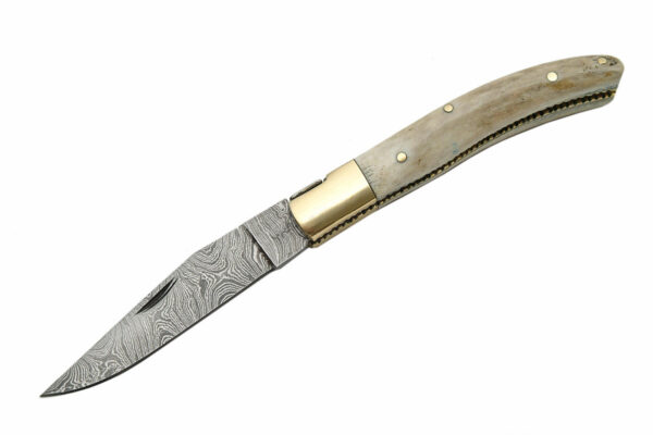 Damascus Steel Antler Stag Handle 8.25″ Folding Knife