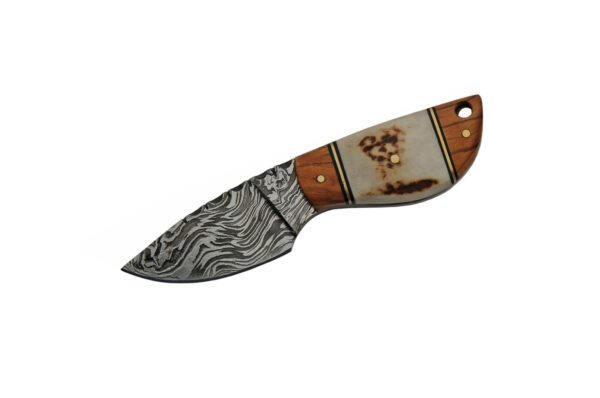 5" WILD STAG DAMASCUS KNIFE