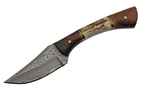 Medieval Damascus Steel Blade | Stag/Wood 7 inch Edc Hunting Knife