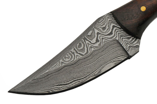 Medieval Damascus Steel Blade | Stag/Wood 7 inch Edc Hunting Knife