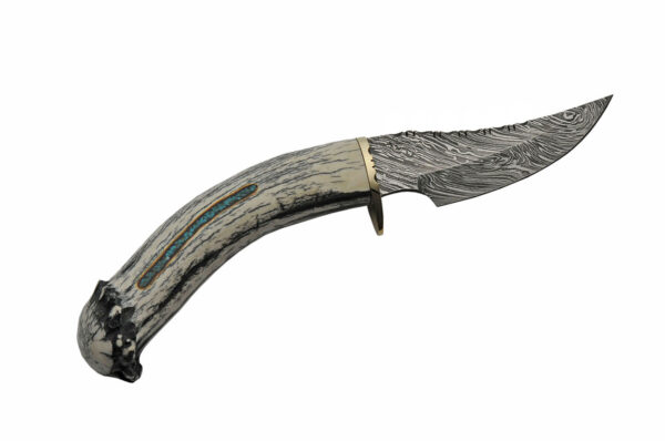 Kingman Turquoise Damascus Steel Blade | Deer Antler Handle 9 inch Skinner Knife