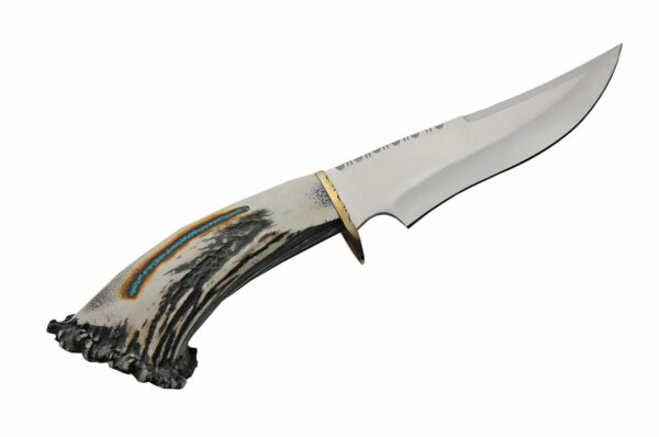 Kingman Turquoise Stainless Steel Blade | Elk Antler Handle 12 inch Skinner Knife