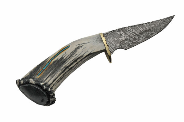 Kingman Turquoise Damascus Steel Blade | Elk Antler Handle 9 inch Skinner Knife