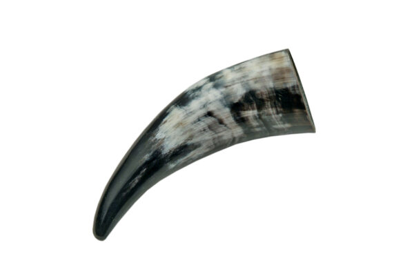 HOLLOW HORN (Pack Of 2)