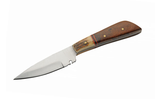 Little Stag 5.75″ Hunting Knife