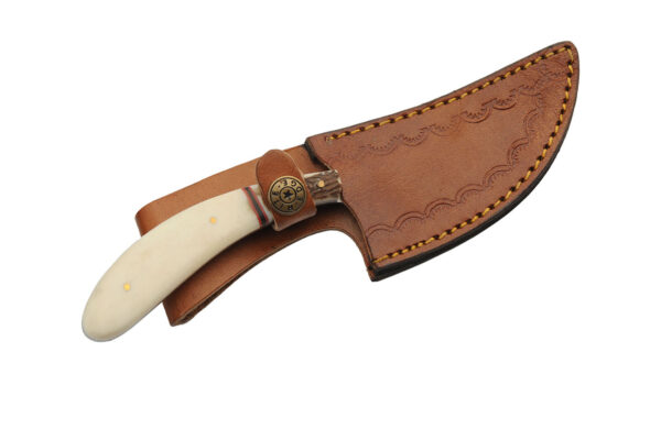 Curved Stainless Steel Blade Bone/Stag 8 inch Hunting Knife