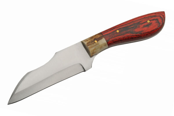 Redtail Stainless Steel Blade Wood/Stag 9 inch Hunting Knife