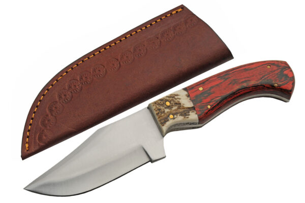 Redtail Stainless Steel Blade Wood Handle Stag Bolster 9 inch Hunting Knife