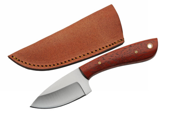 Curved Stainless Steel Blade | Mahogany Wood 7 inch Edc Skinner Knife